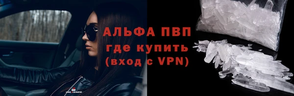 твердый Михайлов