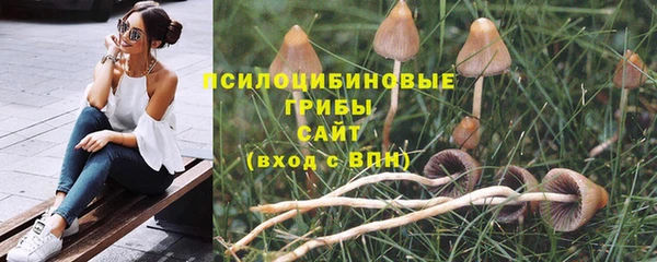 spice Арсеньев