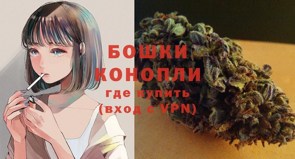 spice Арсеньев