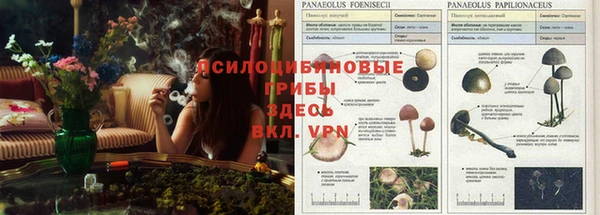 а пвп мука Аркадак